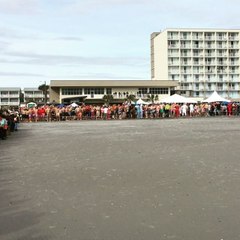 South Carolinians Run Across Beach for Polar Plunge