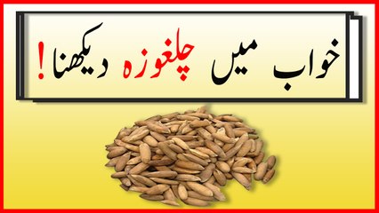khwabon ki tabeer in urdu - Khwab mein chalghozah dekhnay ki tabeer