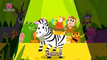 Zebra Cadabra _ Zebra _ Animal Songs _ Pin