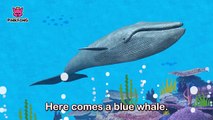 Whoosh, Blue Whale _ Blue Whale _ Animal Songs _ Pinkfong Songs for Children-