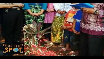 Gara-Gara Nonton Sinetron Anak SD Keroyok Teman Sekelas On The Spot Trans 7 | Mistery Unik