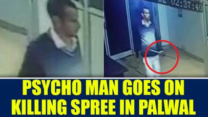 Palwal :Mentally challenged man goes on killing spree, 6 people dead within two hours |Oneindia News