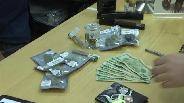 대마초 판매 합법화된 美 캘리포니아...찬반 논란 여전 / YTN