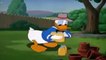 ᴴᴰ Donald Duck & Chip and Dale Cartoons - Disney Pluto, Mickey Mouse Clubhouse Full Episodes /Part