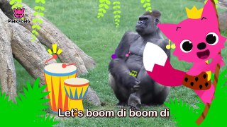 Boom Di Boom Di Gorilla _ Gorilla _ Animal Songs _ Pinkfong Songs for Children-HgRtd