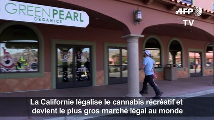 Ça plane pour la marijuana récréative en Californie