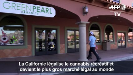 Ça plane pour la marijuana récréative en Californie