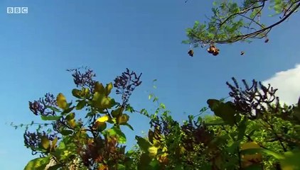 MasterChef The Professionals S10E20 part 2/2