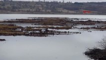 Samsun Ladik Gölü'nün Meşhur Yüzen Adaları Tehlikeye Girdi