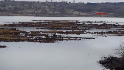Samsun Ladik Gölü'nün Meşhur Yüzen Adaları Tehlikeye Girdi