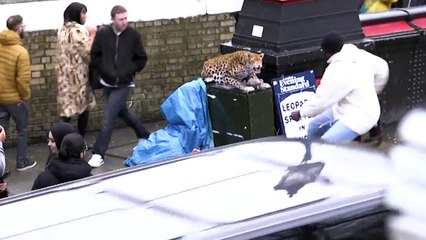 LEOPARD PRANK! CAMDEN TOWN