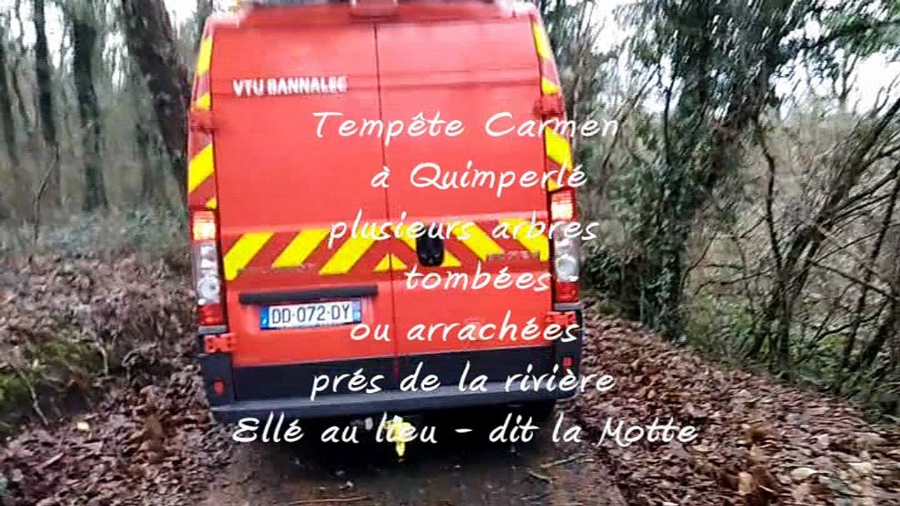 Tempête Carmen  à Quimperlé plusieurs arbres  tombées ou arrachées  prés de la rivière  Ellé au lieu - dit la Motte  