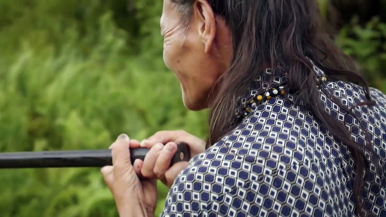 Traditional Malaysian blowpipe maker shows how he takes down his prey in the wild