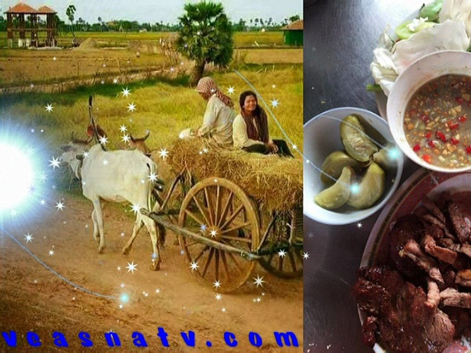 ចំរៀងខ្មែរស្រុកស្រែចំការ Khmer Cambodia Music Song Daily New
