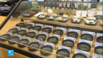 افتتاح أول متجر لبيع الماريجوانا في كاليفورنيا