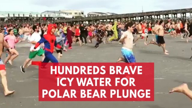 Beachgoers brave icy waters for annual Polar Bear Plunge