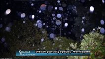 Οι σφαίρες μυστήριο Orbs!!Τι είναι τελικά???