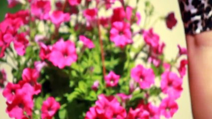 Cansu - Artık Çok Geç (Official Video)