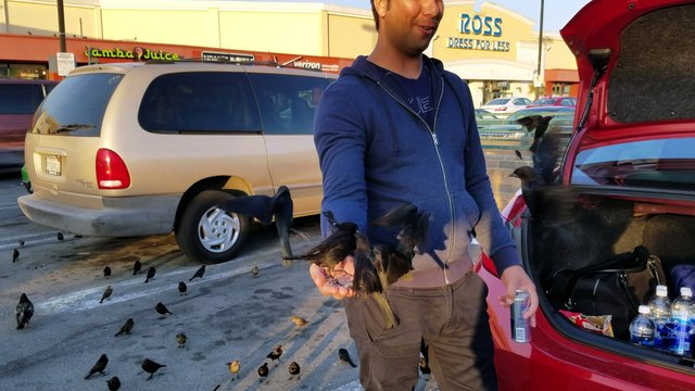 Found a Guy Feeding Birds in a Safeway Parking Lot. Magic Ensues...