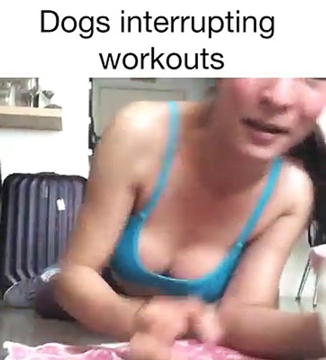 Dogs Interrupt Workouts