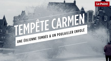 Tempête Carmen : une éolienne tombée et un poulailler renversé