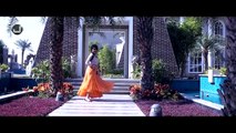 New Punjabi Song - Pal Do Pal - Sangram Hanjra - Sara Gurpal - Japas Music - dailymotion