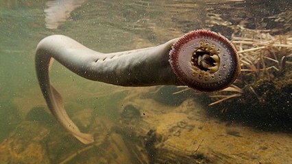 OS 10 CORPOS D'ÁGUA MAIS PERIGOSOS DO MUNDO