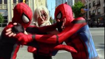 Spider-Man VS Spider-Man - Clone Drama! With Black Cat (parody) | Superheroes | Spiderman | Superman | Frozen Elsa | Joker