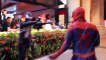 Spider-Man VS Venom - Real Life Superhero Battle | Superheroes | Spiderman | Superman | Frozen Elsa | Joker