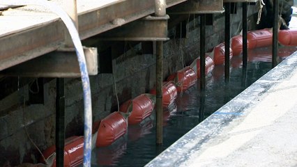 "항만도 안전지대 아니다"...전국이 공사 중 / YTN