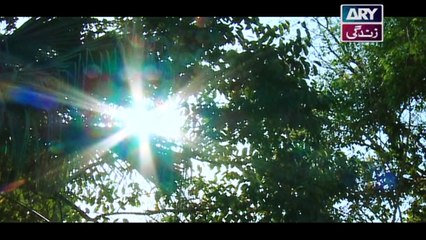 Mein Mehru Hoon Ep 26 - on ARY Zindagi in High Quality 2nd January 2017