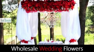 Wholesale Wedding Flowers - www.wholeblossoms.com