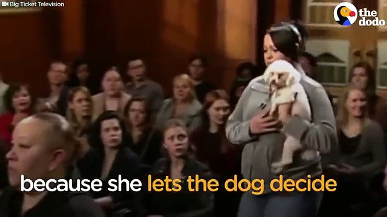 judge judy full episodes 2017