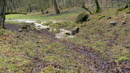 Spectaculaire : La Lesse tourne à Han !