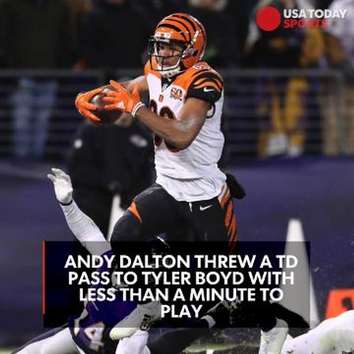 Bills Mafia erupts in Miami after Bengals upset Ravens