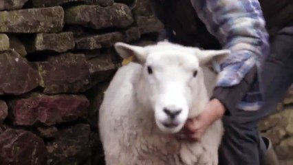 Helpful hazards   Think Advert 2015