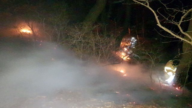 강원 원주서 산불... 해돋이 행사 때 피운 불씨 남아 / YTN