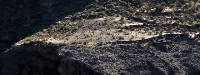 It's a long journey to become the one   Forevermark Commercial 2015