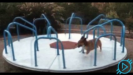 Weekly Dispatch 1.2.18