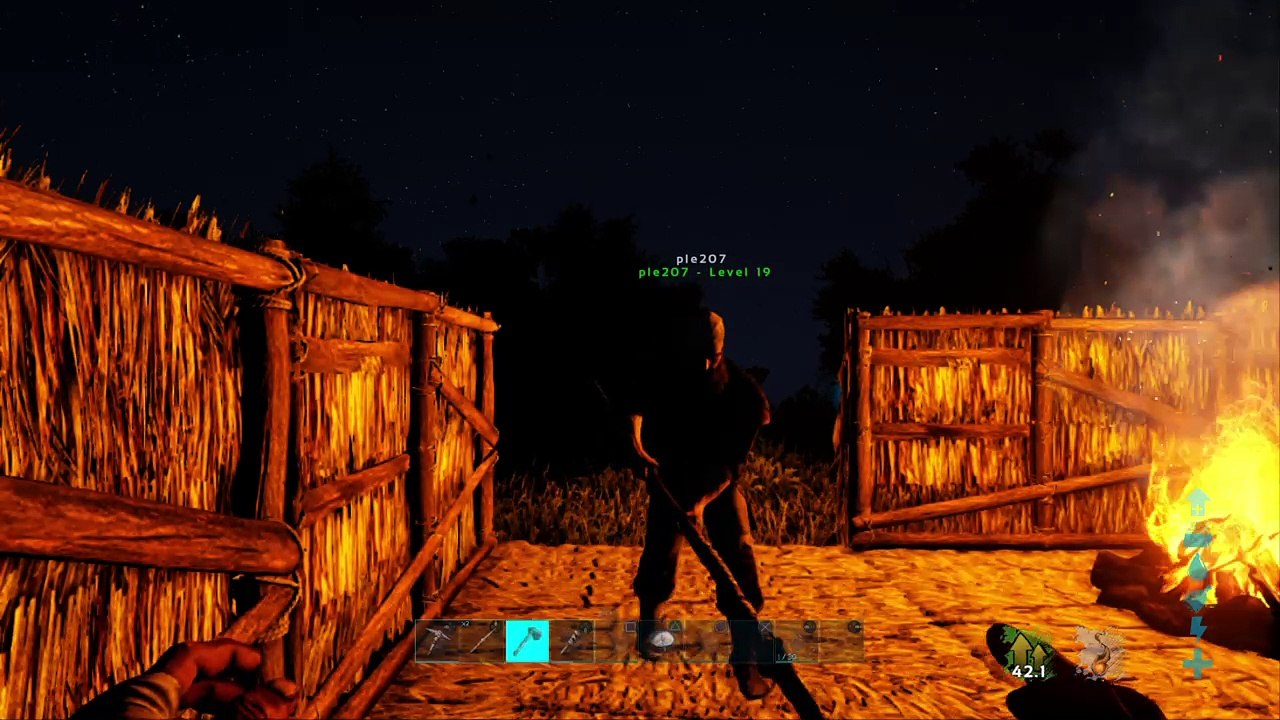 ARK Friendly fire is an!