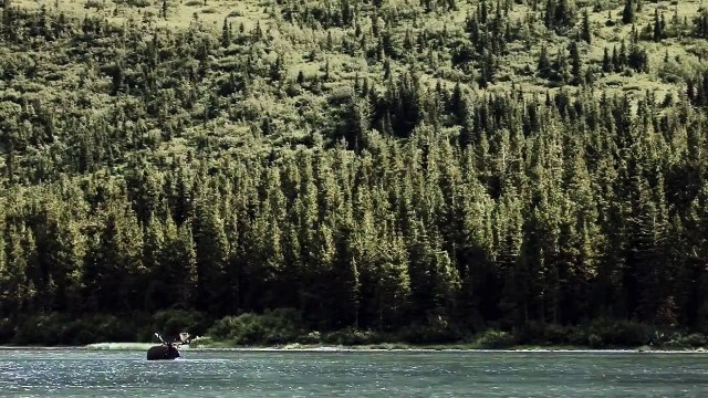 Sword Yeti Coolers Commercial Ad