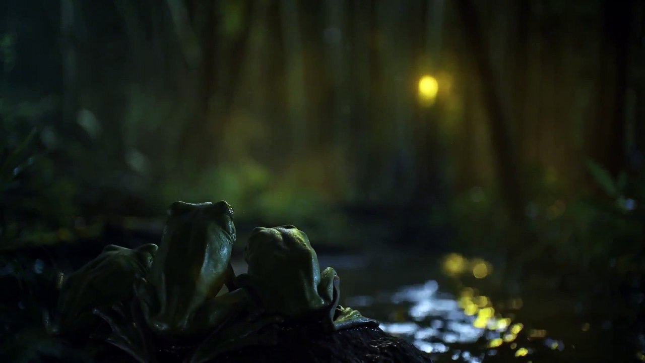 The Frog - McDonalds TV Commercial Ad 2017