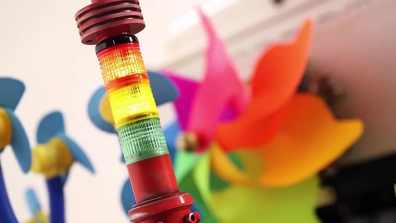 Want to know what cats REALLY dream about   Felix Making of