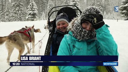 Jura : découvrir la nature grâce aux chiens de traîneau