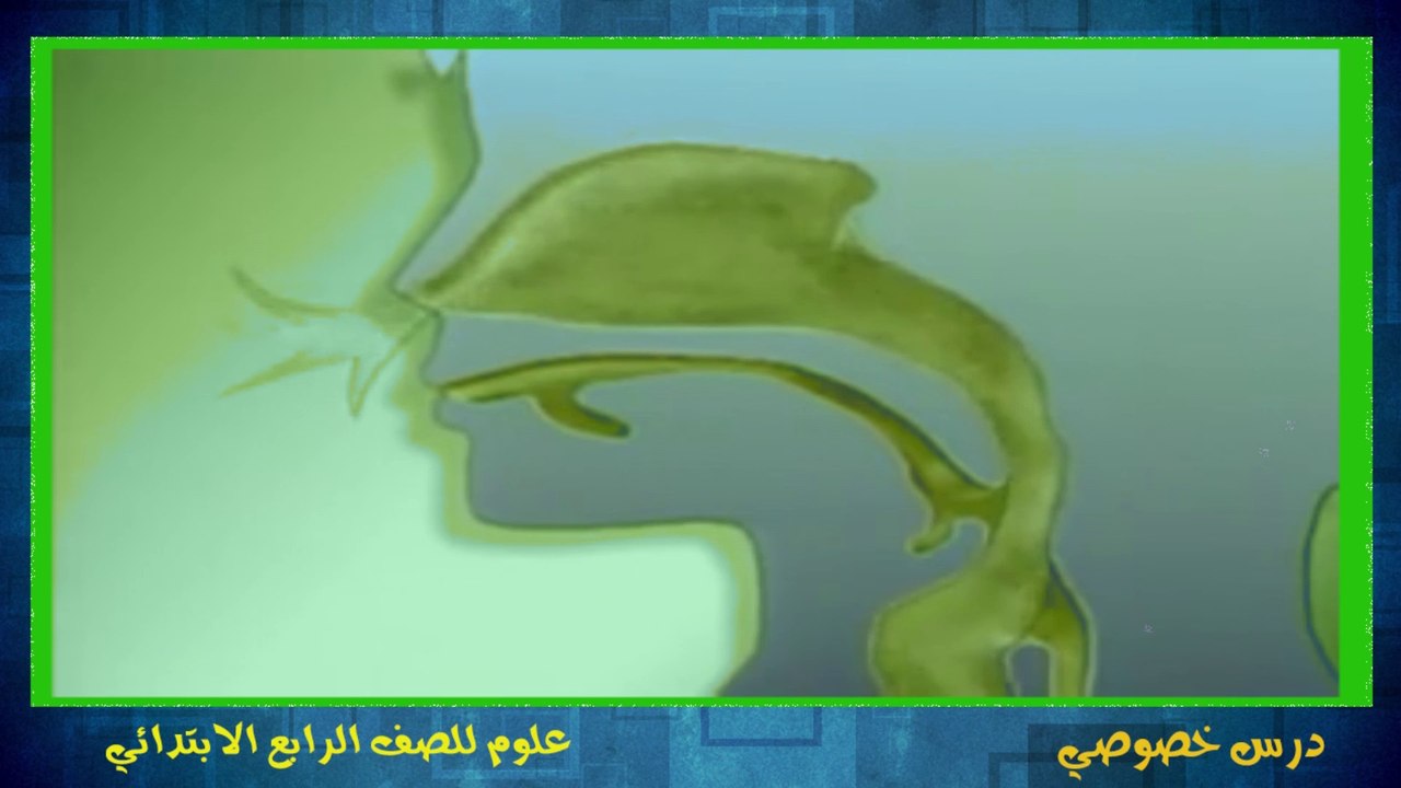 العلوم للصف الرابع الابتدائي التيرم الثاني { 04 } مكونات الجهاز التنفسي فى الإنسان