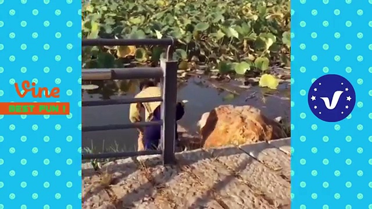 Best funny videos 2017