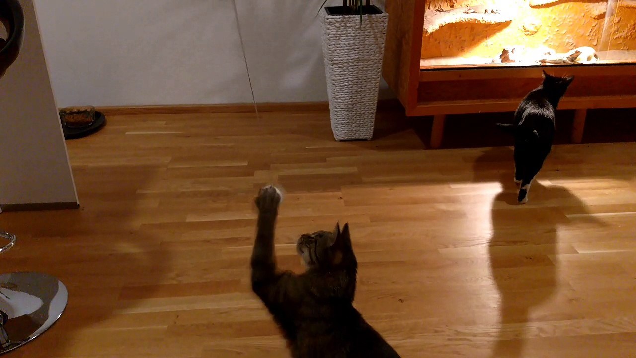 Spidey and Hulk plus Friends