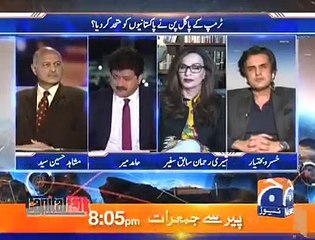 Whenever American aid is stopped, we have always been successful- Mushahid Hussain Syed claims