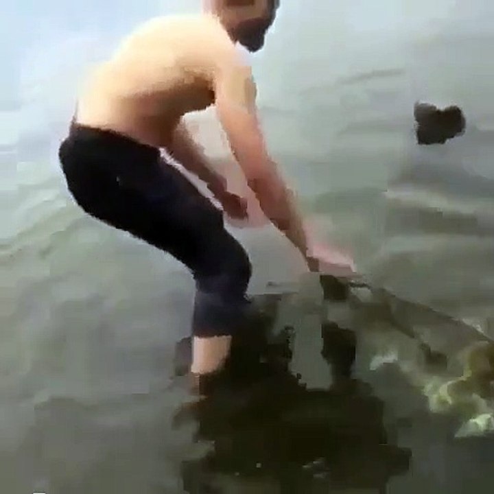 Il sauve un koala