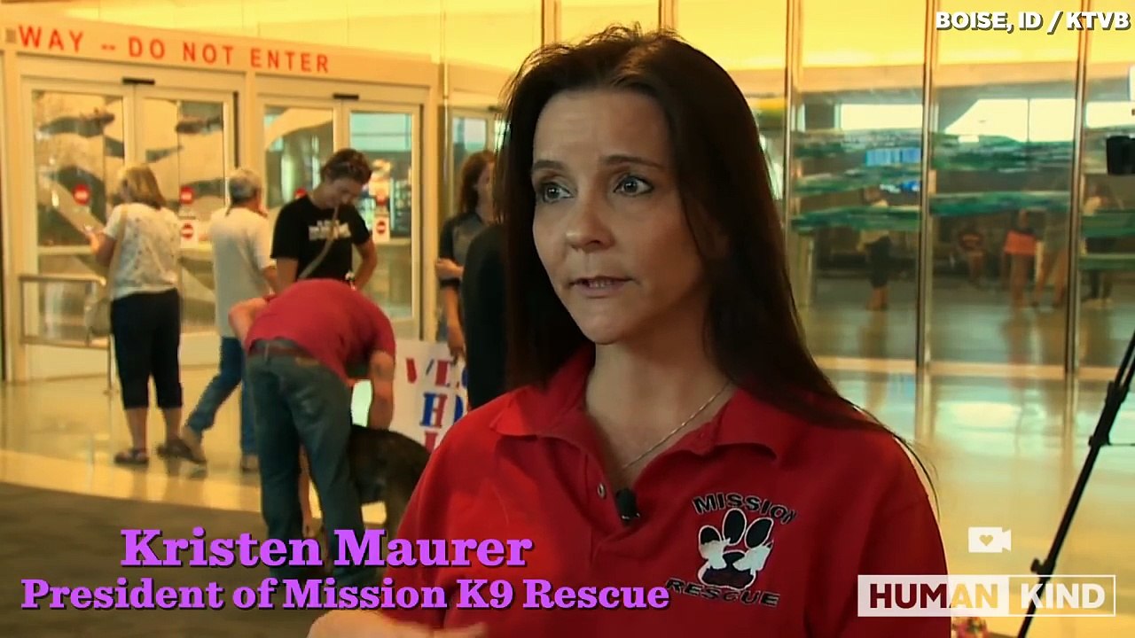 Il n’a pas revu son chien depuis 3 ans et est hyper nerveux